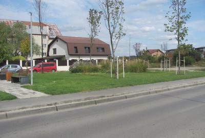 Prelungira Ghencea, Ghidiceni, Stradal - 8