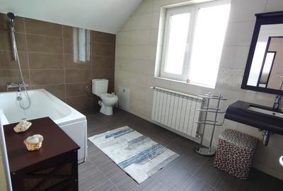 Casa impunatoare D+P+M, 280 mp utili, teren 850 mp,  în Europa - 21