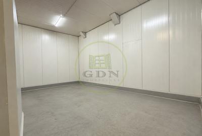 Spațiu industrial, de 1,523.00 mp, în Calea București