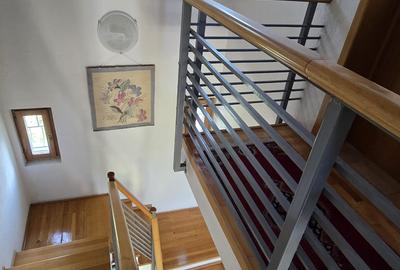 Vanzare vila P+1+M cu 5 camere, casa batraneasca , 2 garaje, teren 9249mp, - 12
