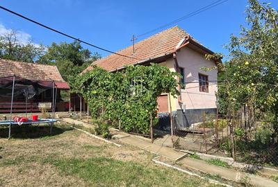 Casă individuală cu 5 camere în Bord