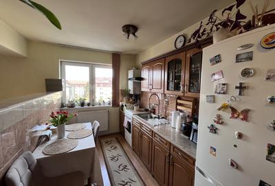 Apartament cu 2 camere nedecomandat, mobilat în Terezian