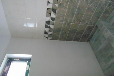 DE LA DEZVOLTATOR FARA COMISION casa cu 4 camere 2 bai placa beton LA CHEIE - 22