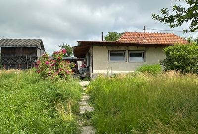 Amarasti Nemoiu in apropiere de Dragasani si Valcea - 8