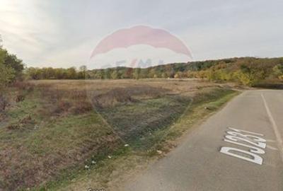 Teren agricol extravilan de 20000 mp, în Bălțești