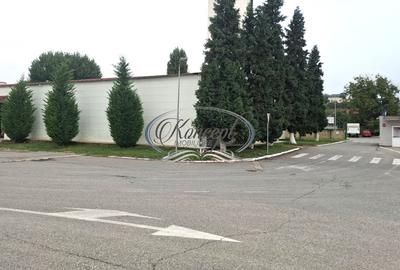 Hala ideala pentru productie sau logistica, pe Calea Baciului - 7
