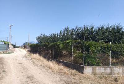 Poiana- str. Cerealelor, teren intravilan curti constructii 3417 mp de vanzare - 2