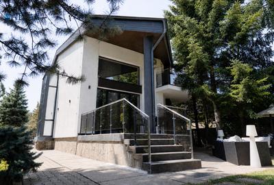 Vilă exclusivistă pe malul Lacului Snagov | Complet renovata | 2.950 mp teren - 46