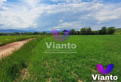 Teren agricol extravilan de 1010 mp, în Turnișor