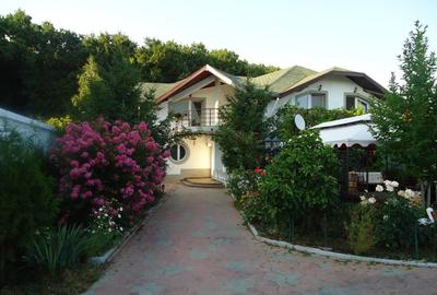 Vila piscina superba gradina matura cu iesire directa la padure - 39