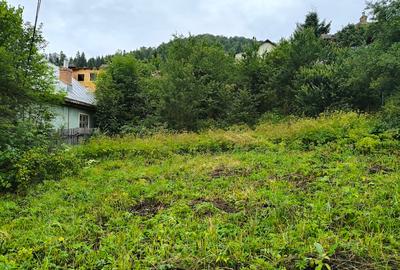 Teren Construcții intravilan de 700 mp, în Azuga