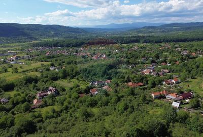 Casă de vânzare in natura la tara - Mihaesti - 11