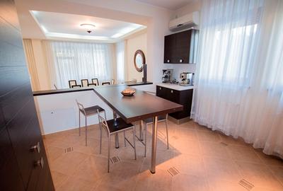 Fully furnished villa in Pipera - 5