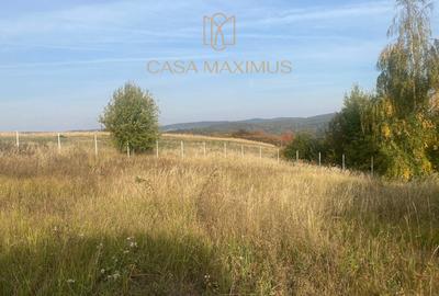 TEREN DE VÂNZARE – SATUL DE VACANȚĂ ȘURA MARE - 8