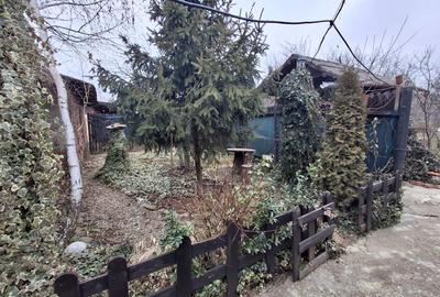 Vila P+1  Ploiesti - Paulestii Noi - 68