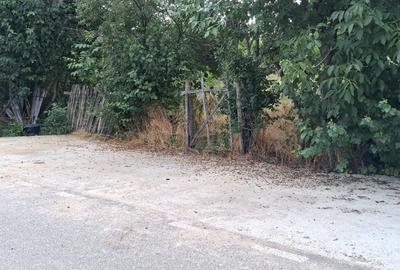 Teren Intravilan  in Tismana (Comuna Devesel), la 200 ml de Dunare - 1