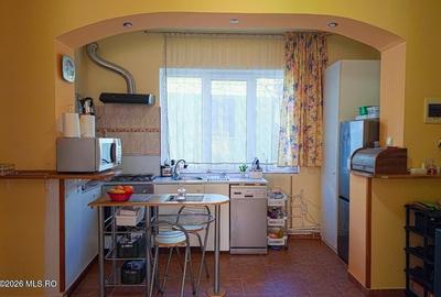 Lunei - Ion Neculce, 2 Apartamente. Mansarda 157 mp. Anexe, Lot 475 mp - 11