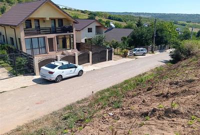 Teren Construcții intravilan de 10000 mp, în Șorogari