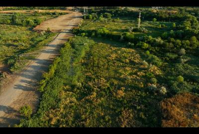 5000mp INTRAVILAN lângă BALTA FLOAREA POPEȘTIULUI - 6