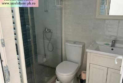 Casa de inchiriat : Cantacuzino-(Mos Craciun) - 7