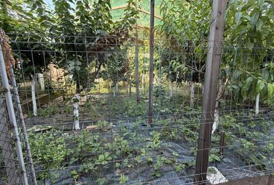 Apartament 3 camere de vanzare cu garaj, grădină in Str. Gării, Galati - 7
