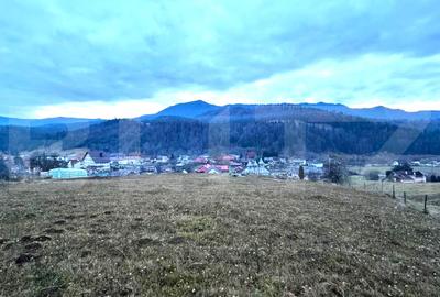 Teren Construcții intravilan de 2500 mp, în Colibița