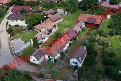 De vânzare casă familială în Valea Crișului! - 10