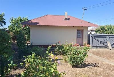 Casa cu teren 2783 mp- Panciu-Satu Nou - 2