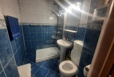 INCHIRIERE 2 CAM DRUMUL TABEREI- VALEA IALOMITEI - 13