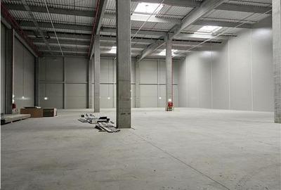 Spatiu Industrial - 6200 mp - Logistica - Productie - Depozitare - Distributie - 4