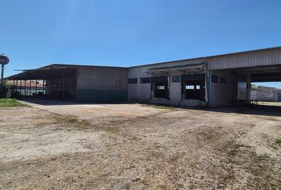 Spatii industriale 1.5Eur/mp - 8