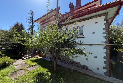 Vilă istorică de vânzare  Castel Aura Buzescu Bușteni  str. Victoriei nr. 11 - 10