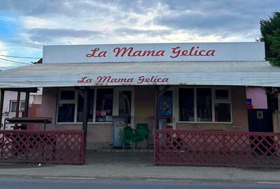 Spatiu comercial 80 Mp Stefanestii De Jos Soseaua Principala - 2
