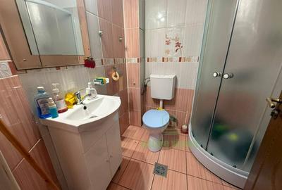 Apartament in vila, 4 camere, intrare separata, curte proprie, vizavi de Parcul - 12