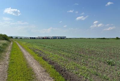 Teren 13.500 mp pentru dezvoltare in Sura Mica / jud. Sibiu - 5