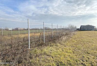 Afumati - Str. Iasomiei, 2409 MP, stradal, intravilan, deschidere 12 m - 11