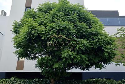 Vila Premium Pipera ~ Siguranta & Exclusivitate - 17