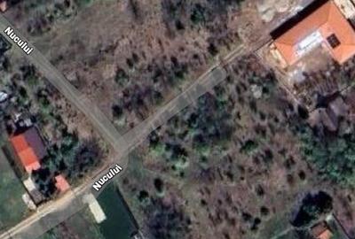 Teren de vanzare in Snagov - 981 mp - 1