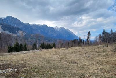 Teren 622 mp  in Sinaia - Zamora, priveliste peisagistică spre Bucegi! - 5
