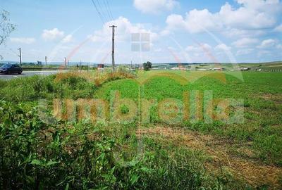 Teren de vanzare in Iclod  8.659m²/10€ m²  DN1 - 4