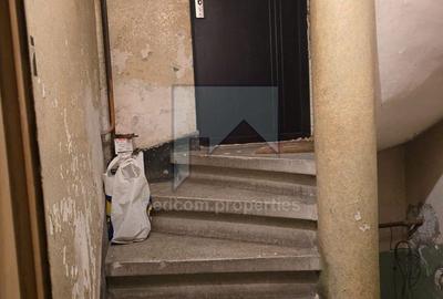 Vanzare Vila P+1 Doamna Ghica - 12