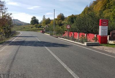 Teren intravilan de 6025 mp, în Lepșa