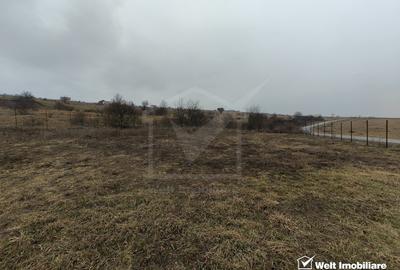 Teren intravilan în Chinteni – investiție (Necesita PUZ) - 1