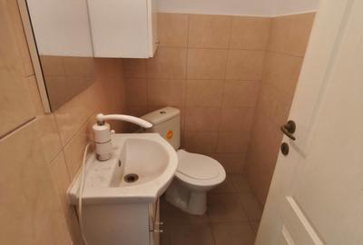 Chișoda casa 7 camere 1200 euro - 16
