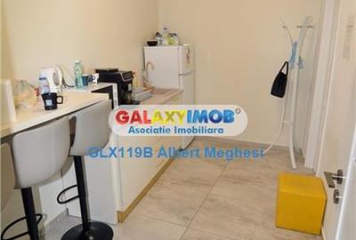 Vanzare casa 8 camere renovata integral+gradina Brasov. - 38
