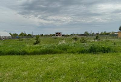 Vanzare Teren construibil 1 Decembrie Ilfov - 2