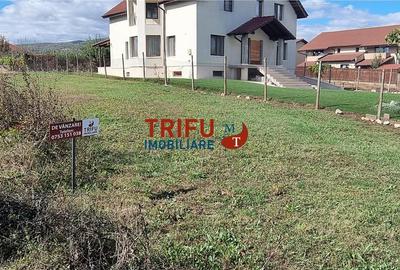 Teren Construcții intravilan de 3000 mp, în Cetate