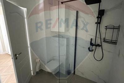 Apartament cu 2 camere de închiriat - strada Daliei - - 9