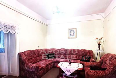 Casa de vanzare in Zimandu Nou - 2