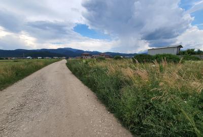 Teren rezidential Brasov – Cristian zona de case - 3